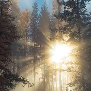 亲子乱对白乱都乱了视频
